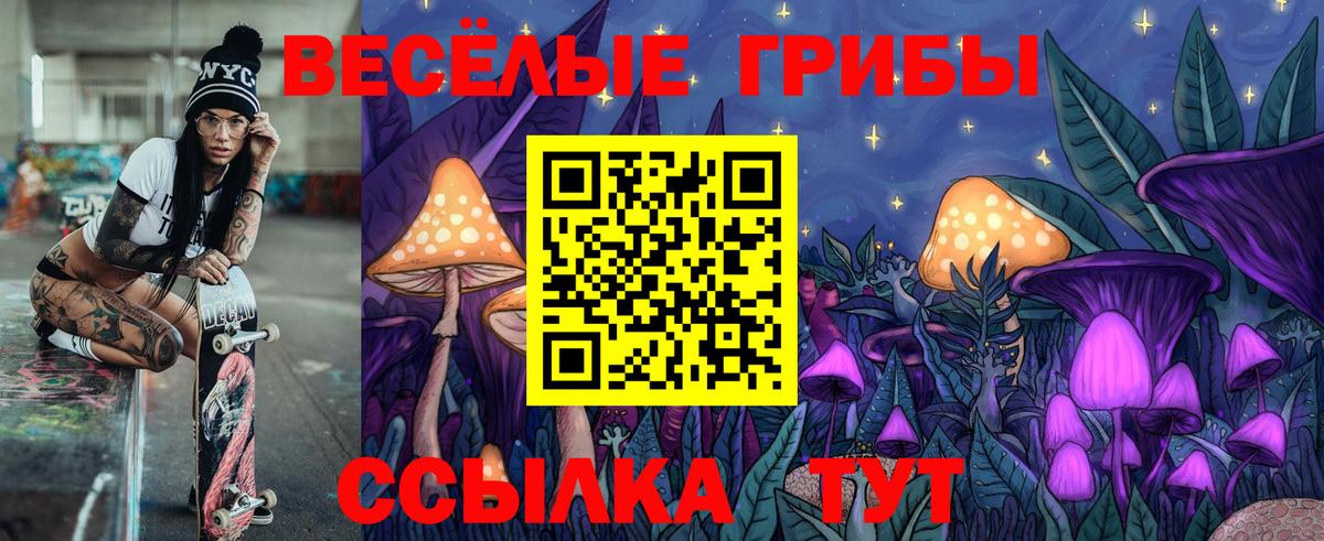 Дубна  Псилоцибиновые грибы мицелий  Вход с VPN 