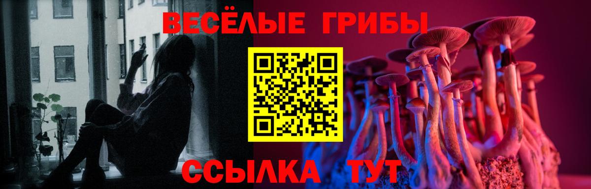 Псилоцибиновые грибы GOLDEN TEACHER Дубна
